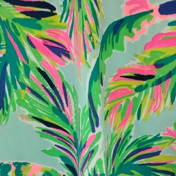 Lilly Pulitzer Vibrant Pink and Green Dress - Picture 2 of 6